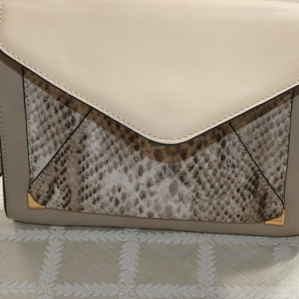 Aldo Evening crossbody bag.